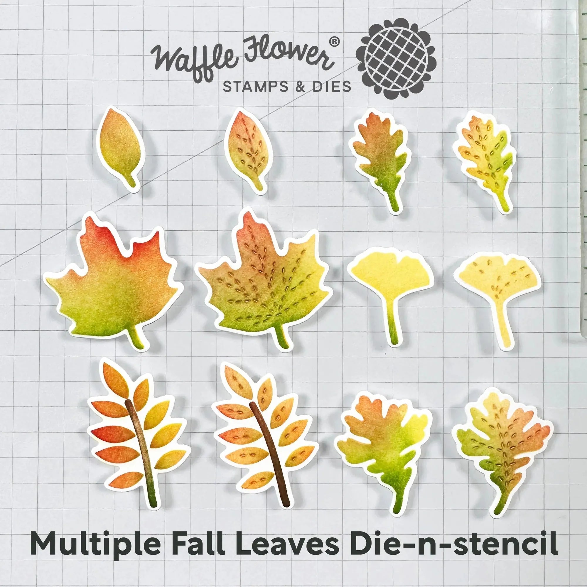 Waffle Flower Multiple Fall Leaves Die n Stencils 421548 product image