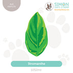 Simon Says Stamp Stencils Stromanthe 1052mt Stamptember