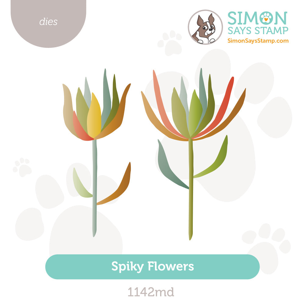 Simon Says Stamp Spiky Flowers Wafer Dies 1142md Stamptember