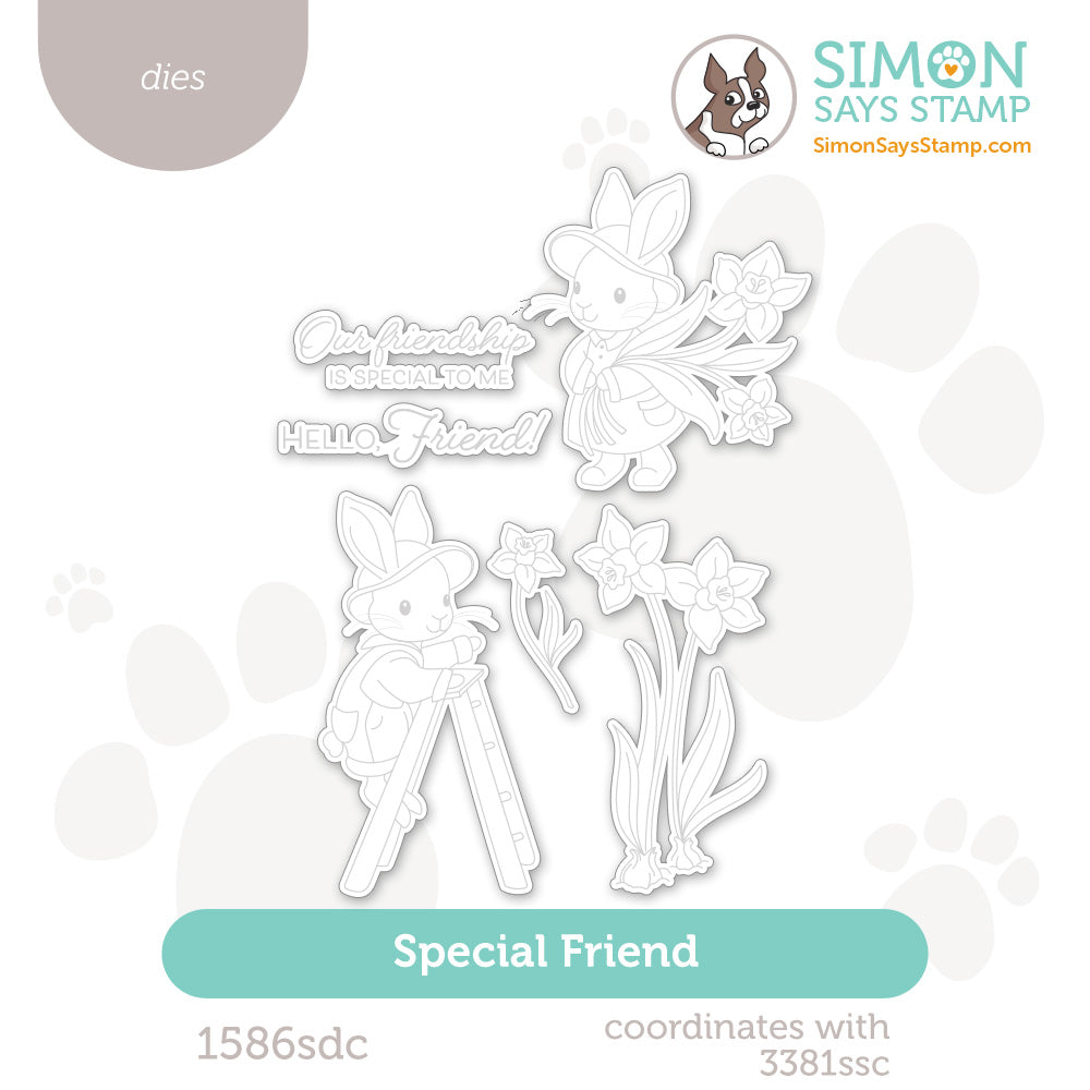Simon Says Stamp Special Friend Wafer Dies 1586sdc Beautiful Moments