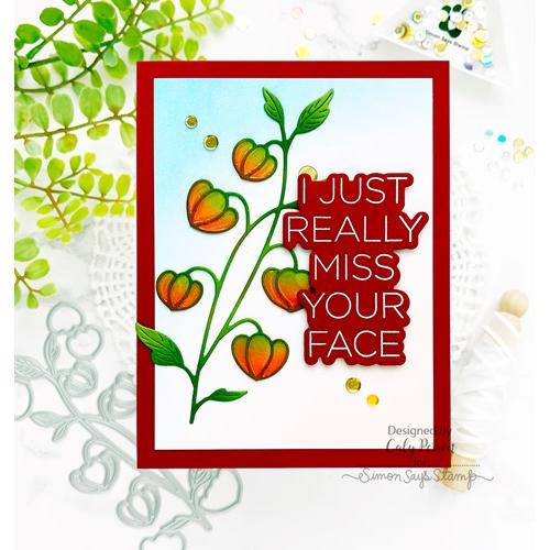 Simon Says Stamp! CZ Design Stamps and Dies CLEAN LINE STACKS set489cs | color-code:ALT4