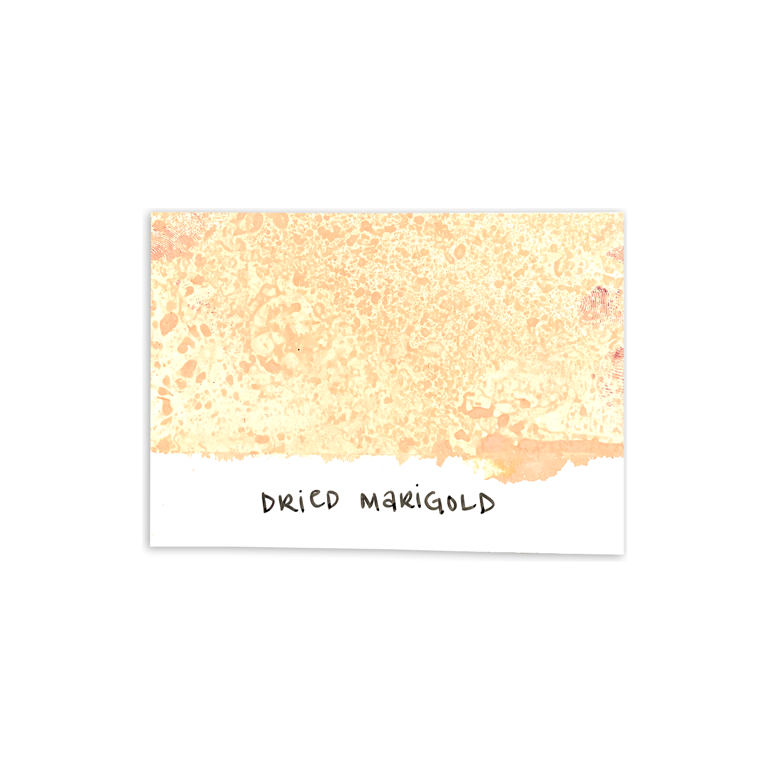 Tim Holtz Distress Spray Stain Dried Marigold Ranger TSS42235 Color Swatch