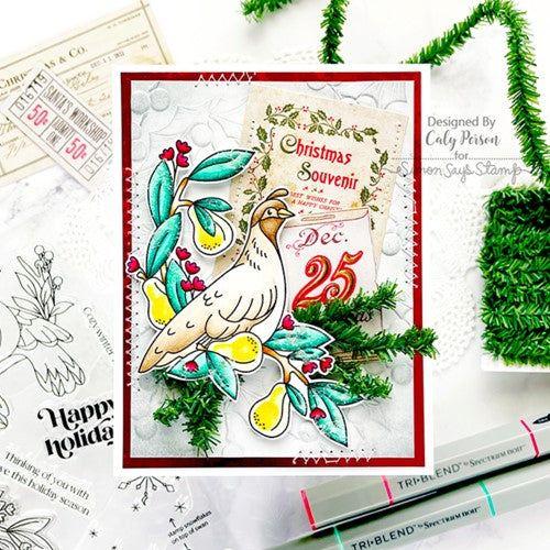 Simon Says Stamp! Tim Holtz Distress ROCK CANDY Crystal Clear Glitter Ranger tdr35879 | color-code:ALT096