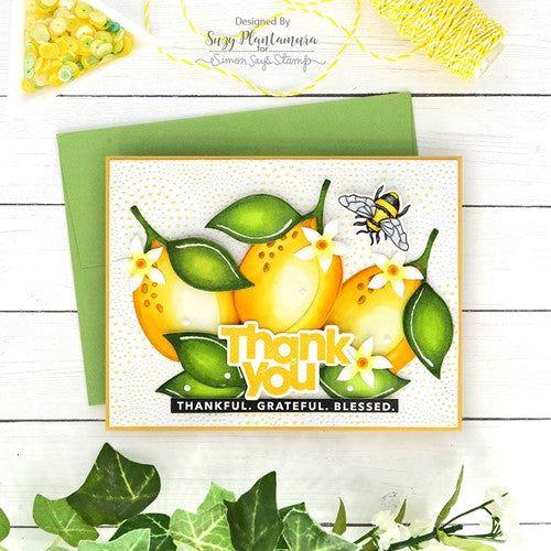 Simon Says Stamp! Simon Says Stamps and Dies BIG AND BOLD set535bb | color-code:ALT2