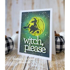 Simon Says Stamp! CZ Design Stamps and Dies WITCH PLEASE set544wp