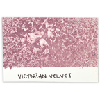 Tim Holtz Distress Spray Stain Victorian Velvet Ranger TSS42587 Color Swatch