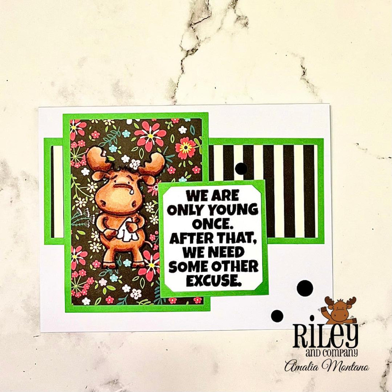 Riley And Company Funny Bones We Are Only Young Once Clear Stamp rwd-1280 sad moose