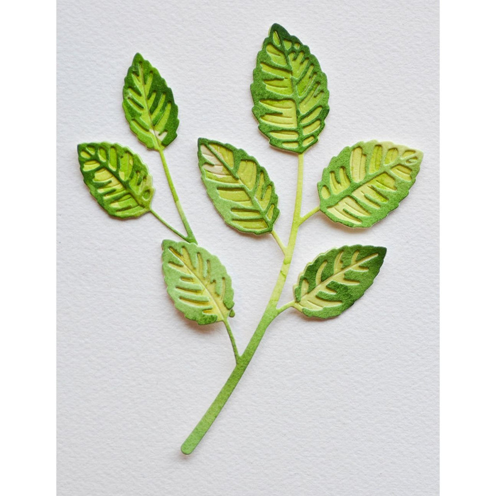 Birch Press Design Rose Leaves Contour Layers Dies 57522 bunch