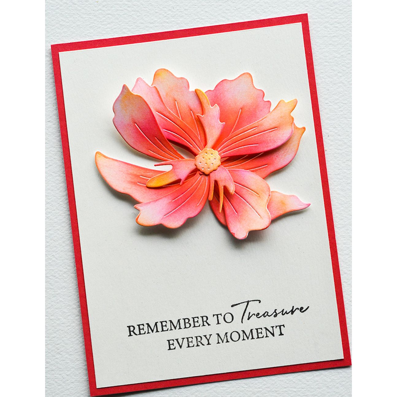 Birch Press Design Large Cosmos Contour Layers Dies 57528 remember card