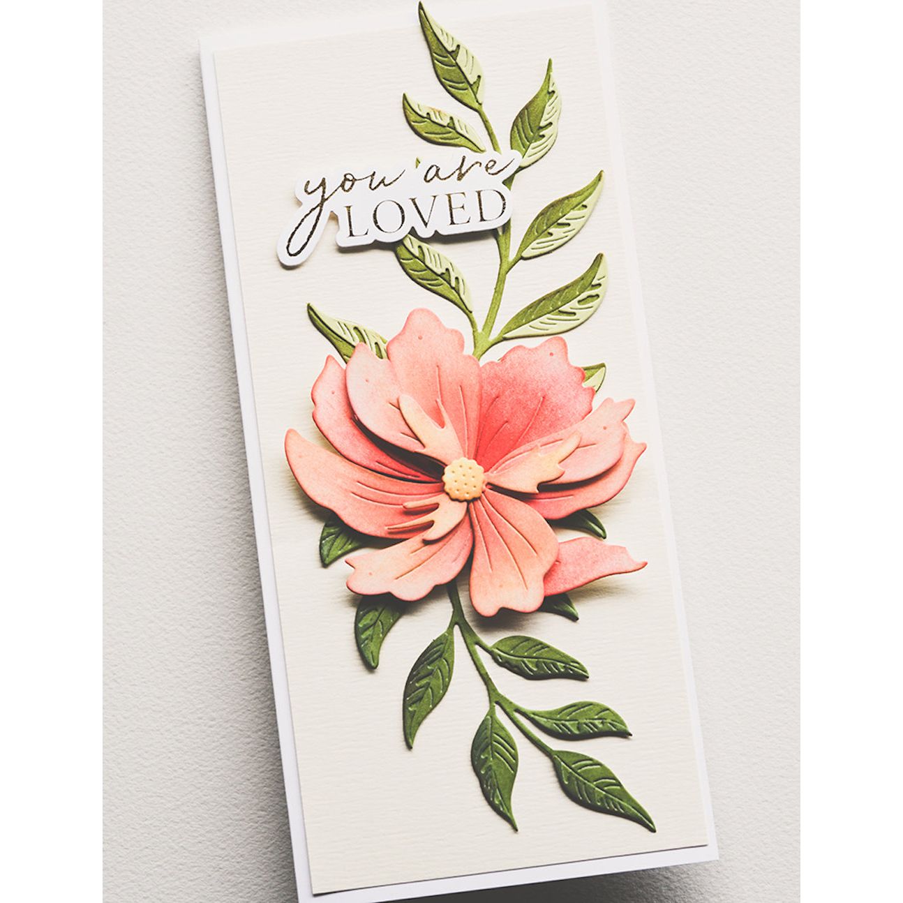 Birch Press Design Large Cosmos Contour Layers Dies 57528 loved card