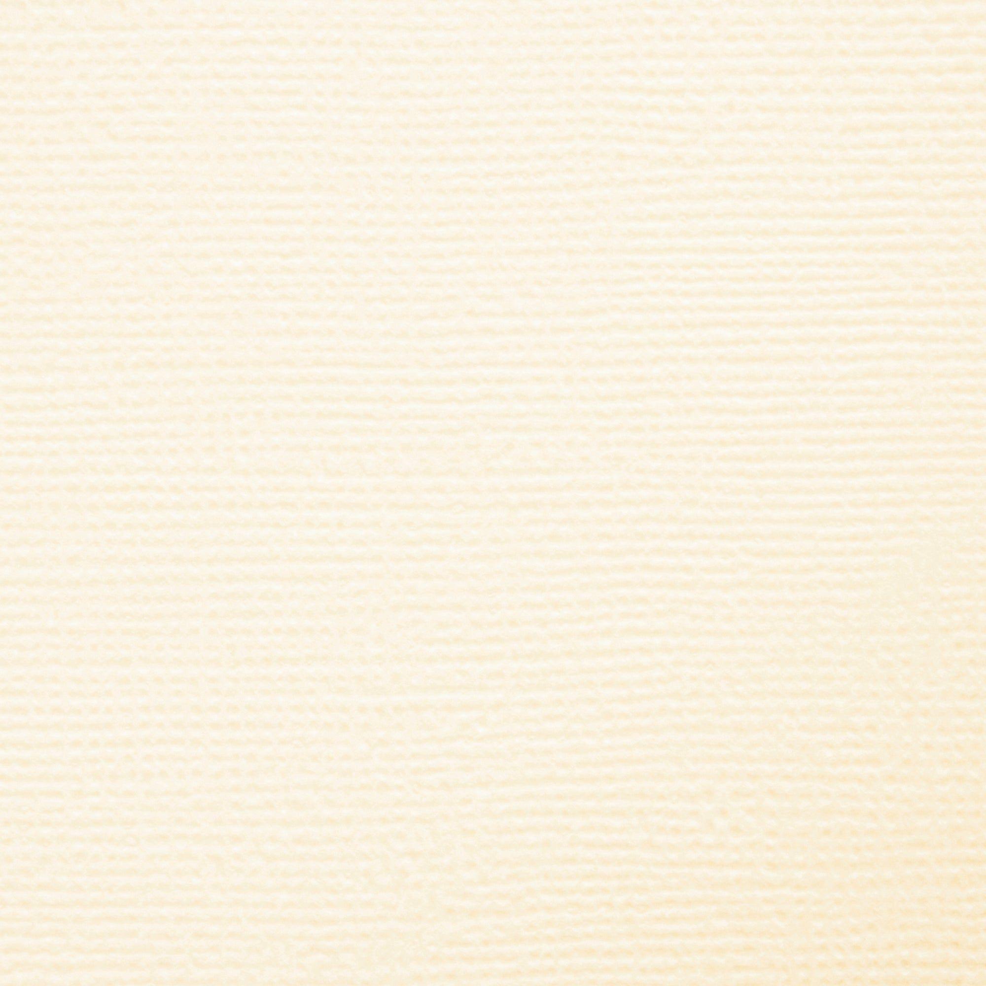 Tonic Ivory White 8.5 x 11 Craft Perfect Classic Weave Textured Cardstock 9615e swatch view