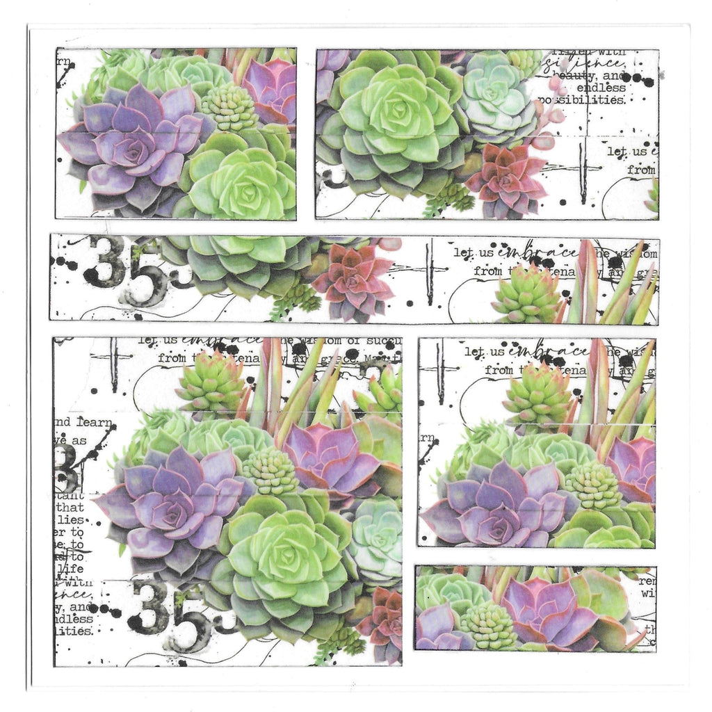 AALL & Create Thriving Terrarium Washi Tape 70 succulent