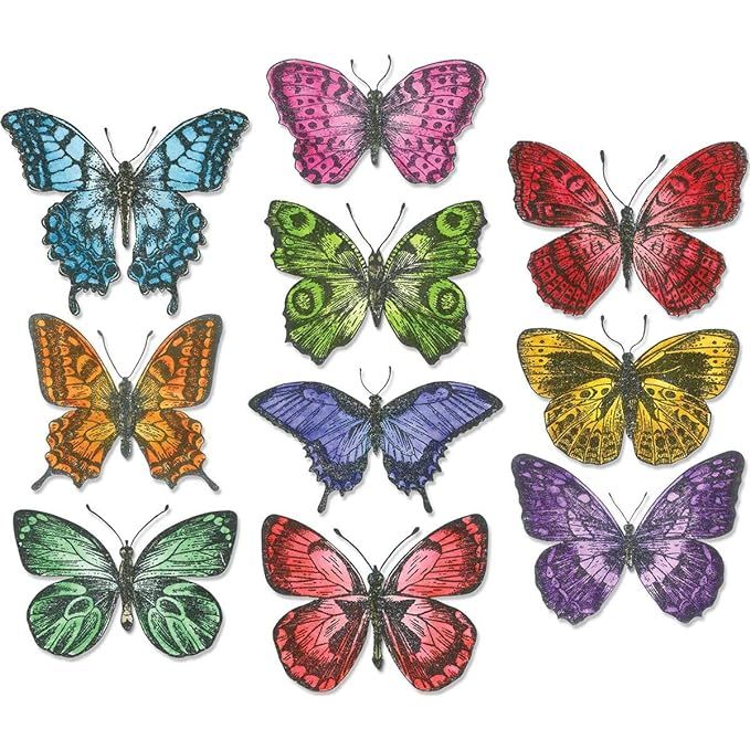 Tim Holtz Sizzix Framelits FLUTTER Wafer Thin Die Set 662269