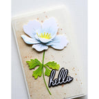 Memory Box Graceful Anemone Dies 94764 hello