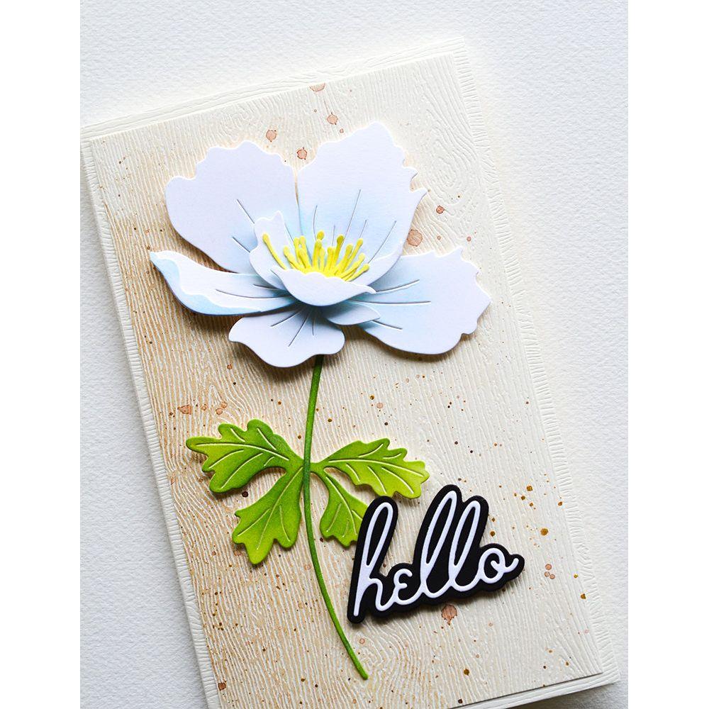 Memory Box Graceful Anemone Dies 94764 hello