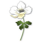 Memory Box Graceful Anemone Dies 94764