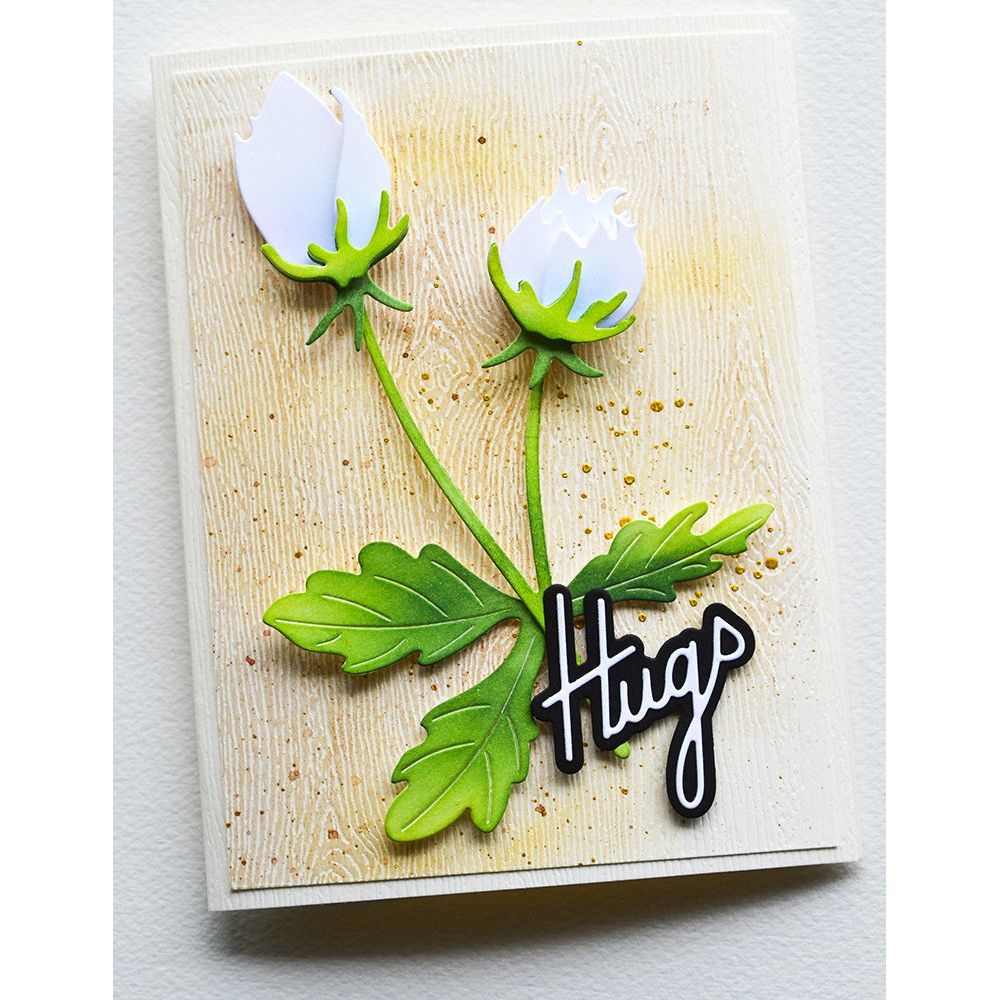 Memory Box Anemone Bud Duo Dies 94765 hugs