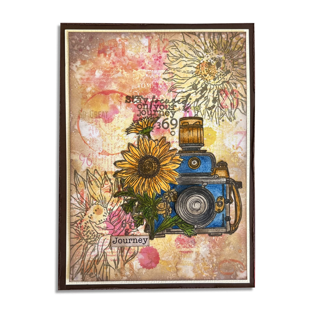 AALL & Create Lens and Lines A6 Clear Stamp Set 1225