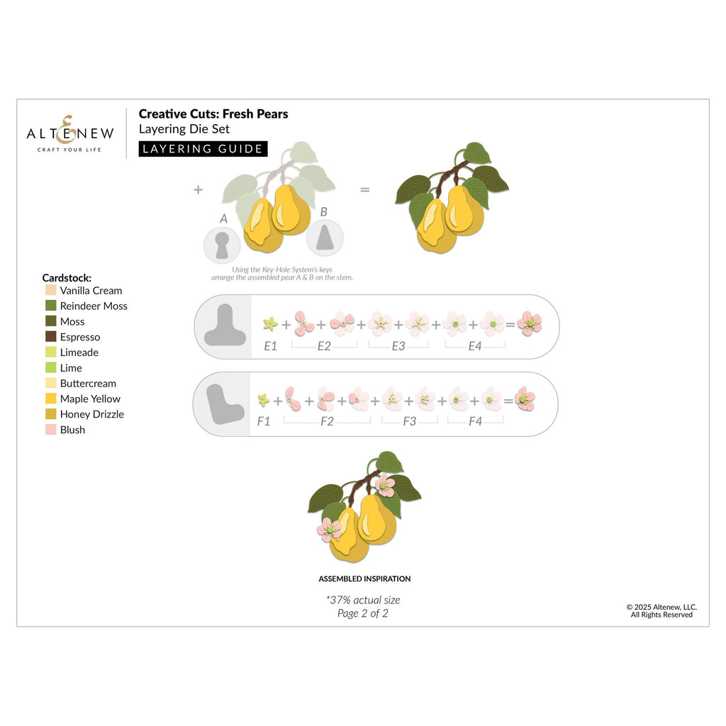 Altenew Creative Cuts Fresh Pears Layering Dies alt10977