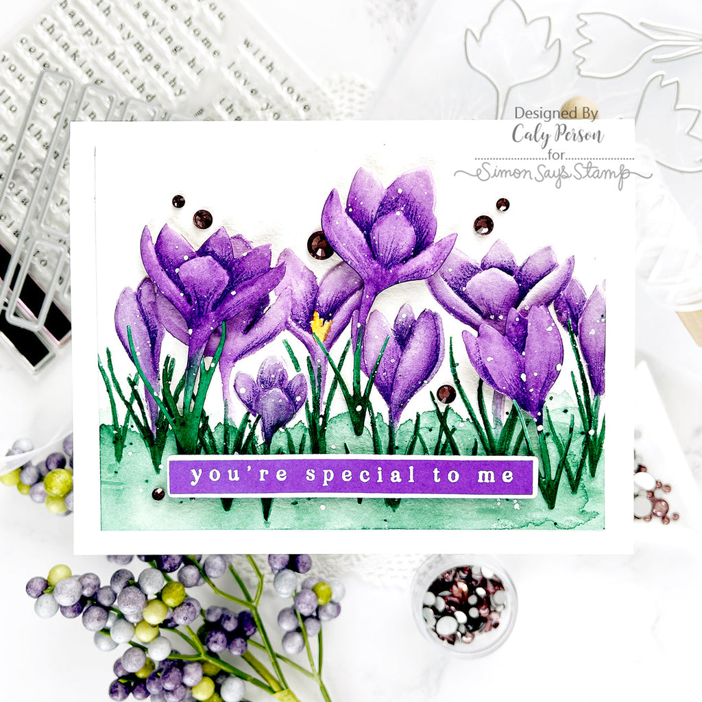 Simon Says Stamps and Dies Airy Greetings set756ag Be Bold Special to Me Card | color-code:ALT02