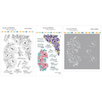 Alex Syberia Designs Peony Corners Stamps Dies and Stencils Bundle