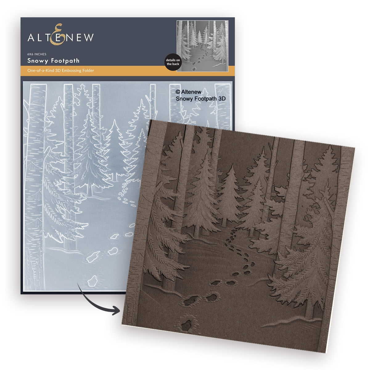 Altenew Snowy Footpath 3D Embossing Folder alt11533