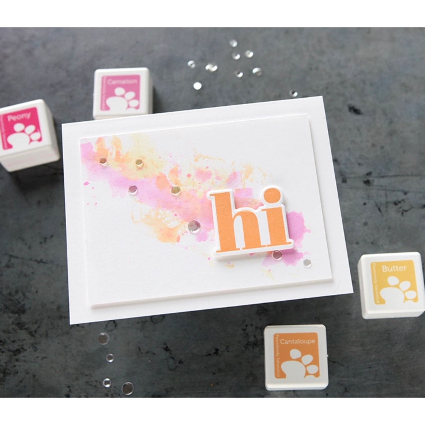 Simon Says Stamp Pawsitively Saturated Ink and Re-inker Set Cantaloupe | color-code:ALT01