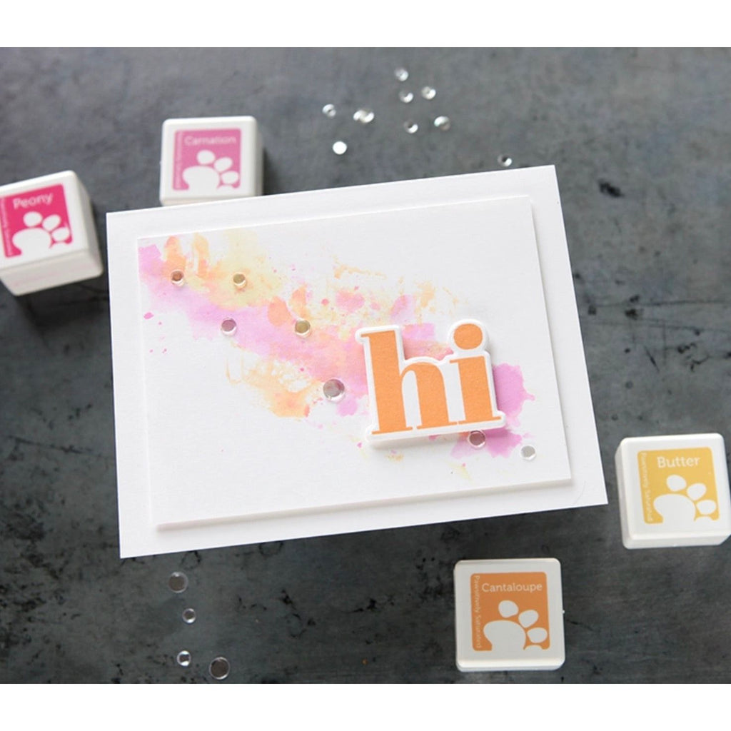 Simon Says Stamp Pawsitively Saturated RE-INKER CANTALOUPE ssr026 | color-code:ALT02