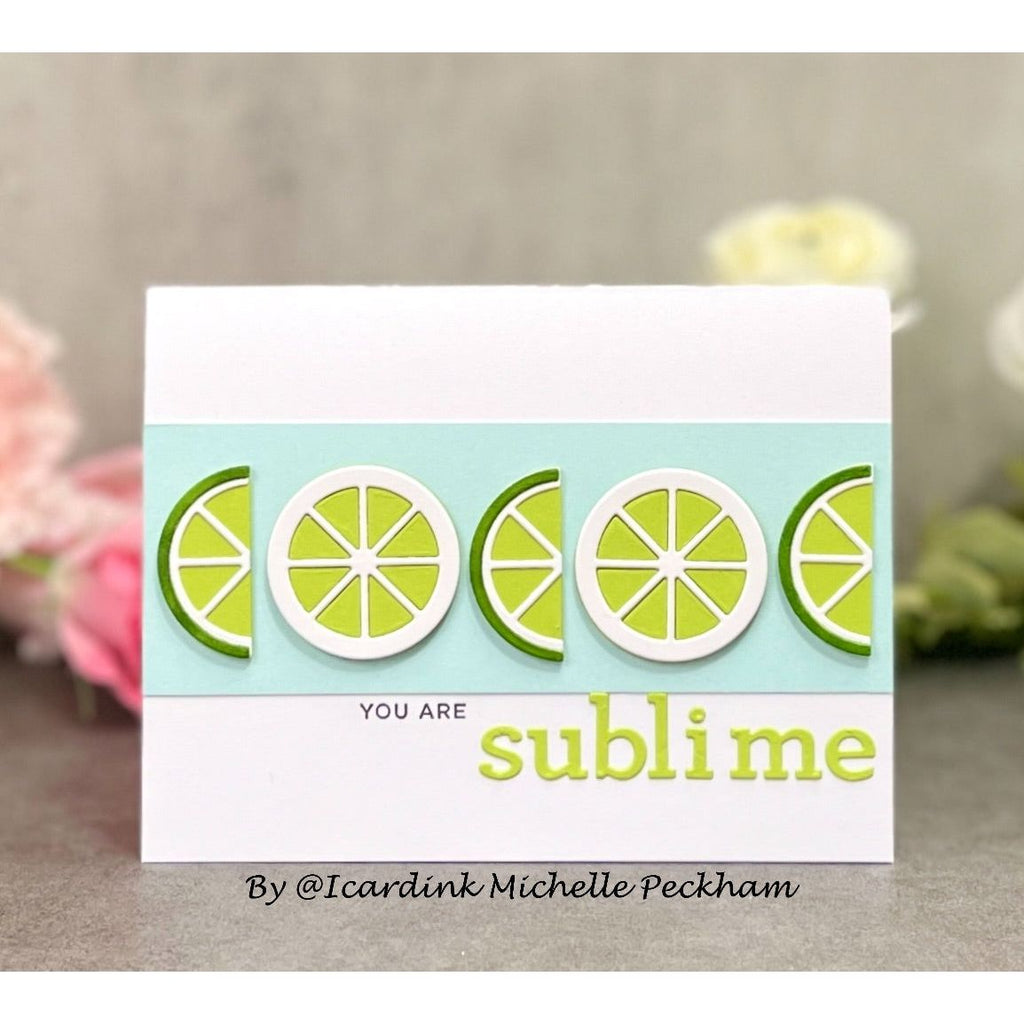 Simon Says Stamp Citrus Slices Wafer Dies s842 Out Of This World