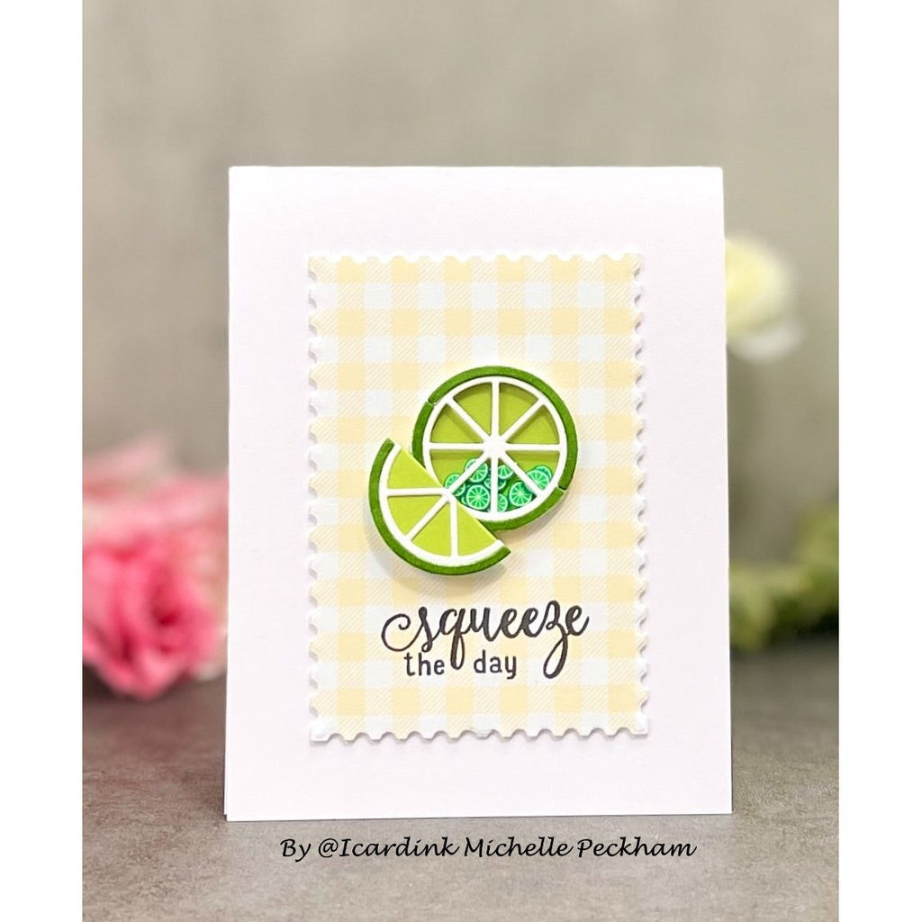 Simon Says Stamp Citrus Slices Wafer Dies s842 Out Of This World