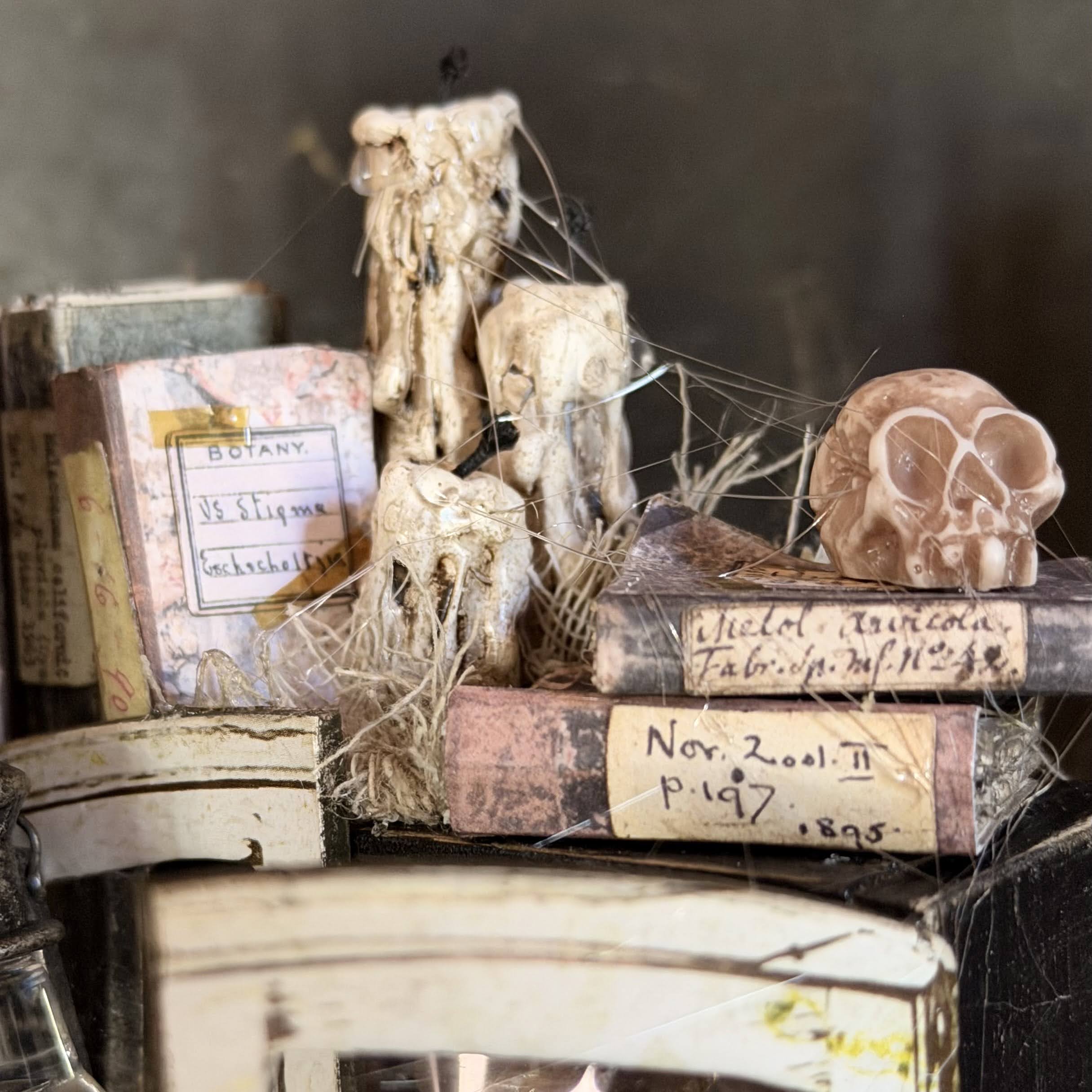A styled collection of gothic and vintage decorative items, including animal skulls, a small carved skull, dried botanical specimens, old books with handwritten labels, and cobwebs, arranged on a dark surface.