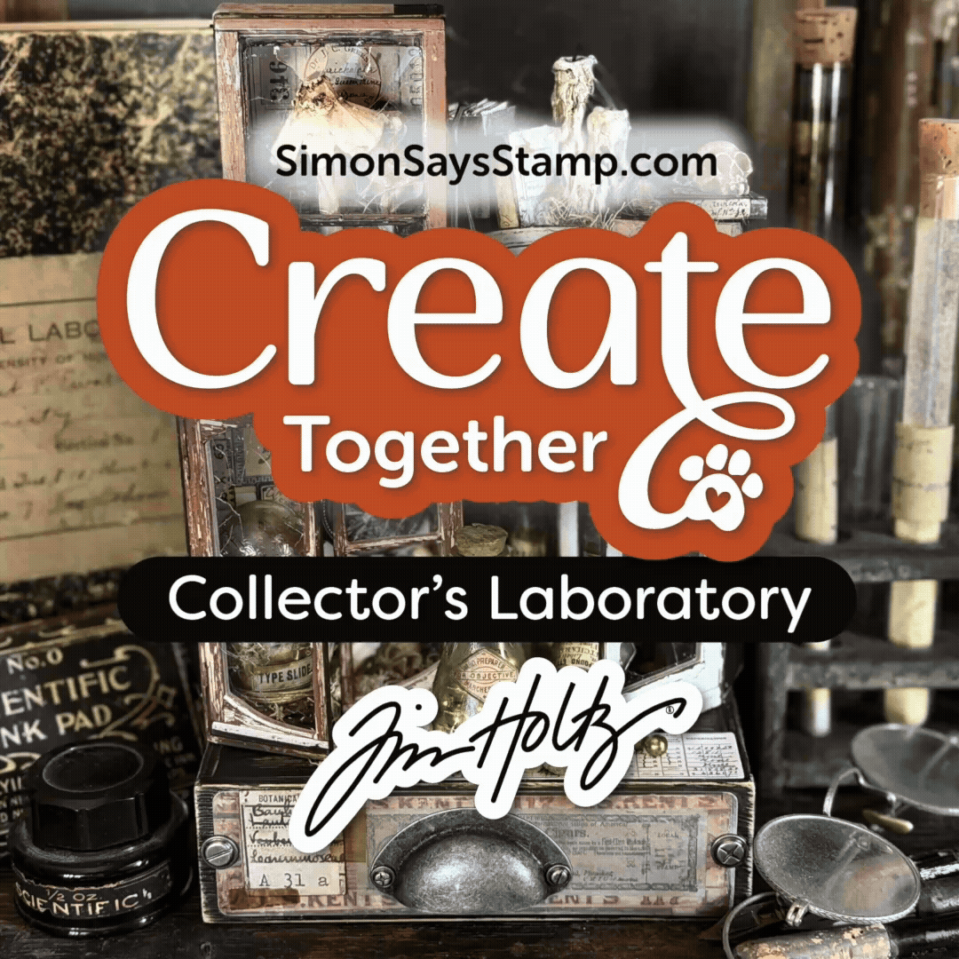 Tim Holtz Collector's Laboratory Tim Holtz Slides