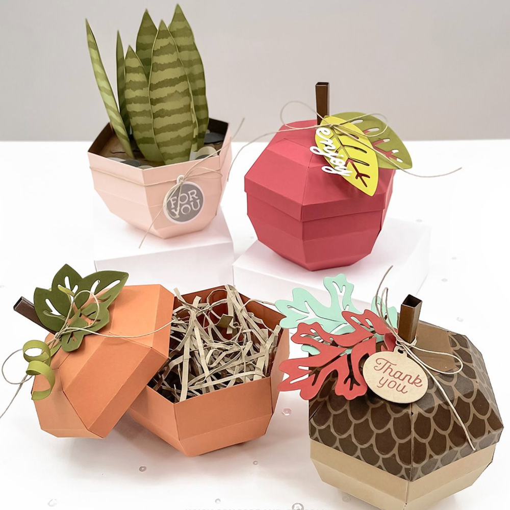 Concord & 9th Fall Favors Extras Die Set 12553 samples