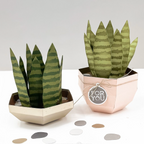 Concord & 9th Fall Favors Stamp and Dies Bundle plant