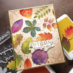 Concord & 9th Kristina Werner Thankful Leaves Stamp Die and Stencil Bundle autumn
