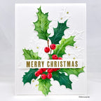 Simon Says Stamps and Dies EZ Strips Christmas set1122ez DieCember Christmas Card