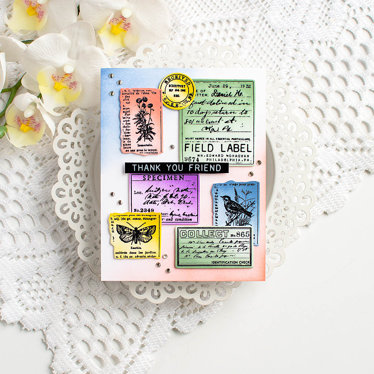 Simon Says Stamp Field Notes Wafer Dies 396sss Friend Card | color-code:ALT13