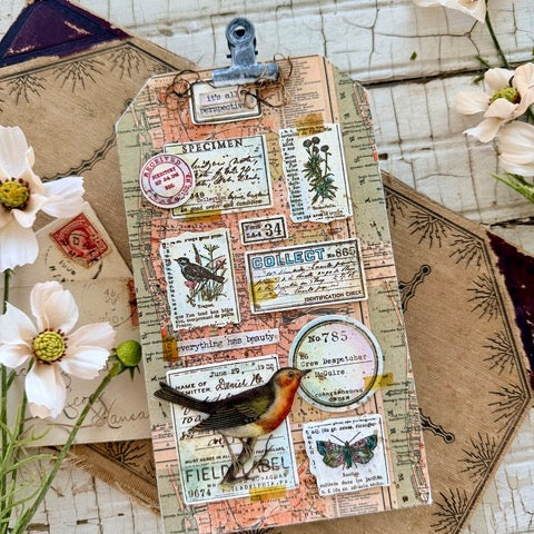 Tim Holtz Field Notes Stamps with Simon Says Stamp Dies Bundle setfn26 Vintage Tag | color-code:ALT01