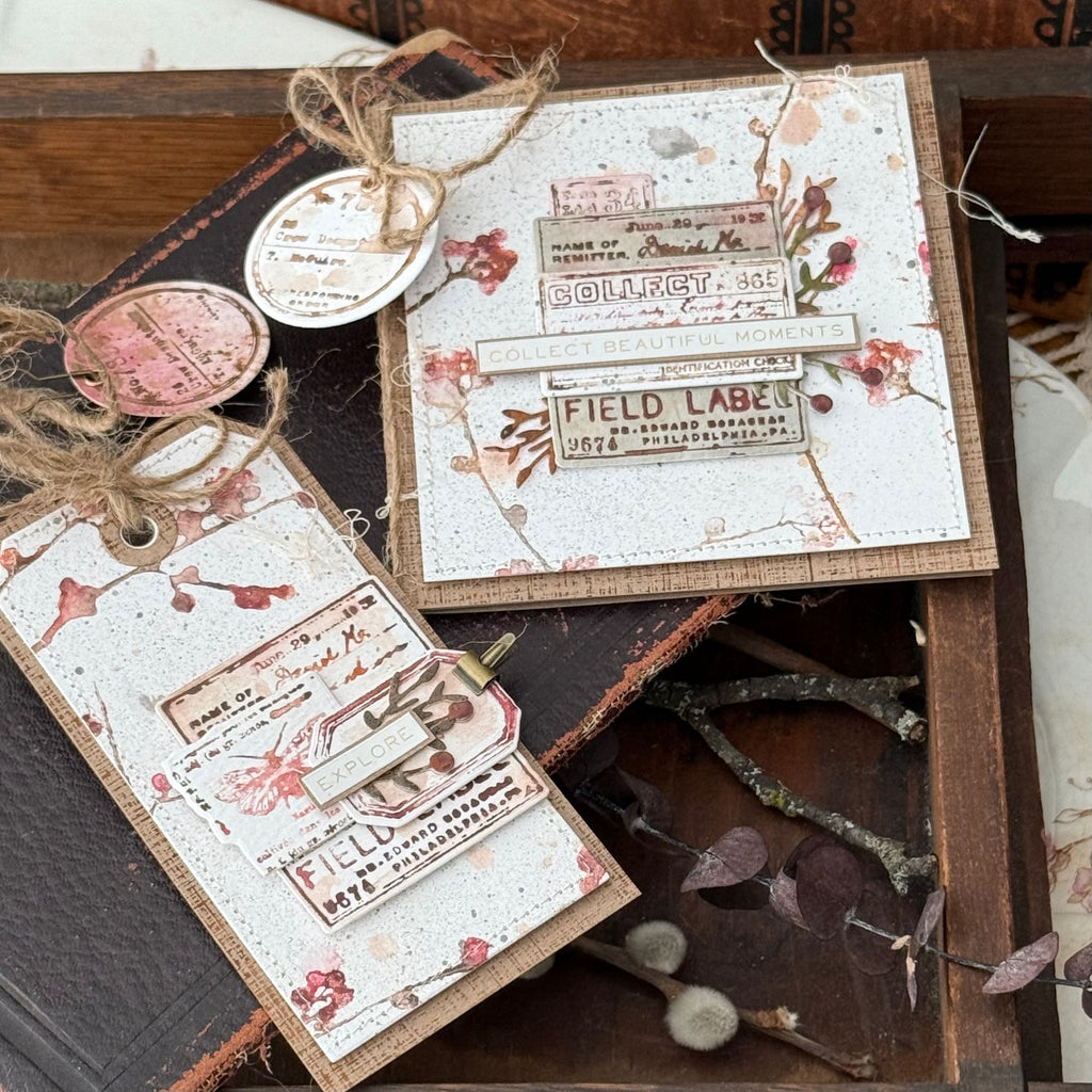 Tim Holtz Field Notes Stamps with Simon Says Stamp Dies Bundle setfn26 Vintage Tags | color-code:ALT08