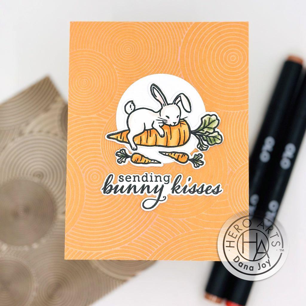 Hero Arts Zen Circles Hot Foil Plate hf127 bunny kisses