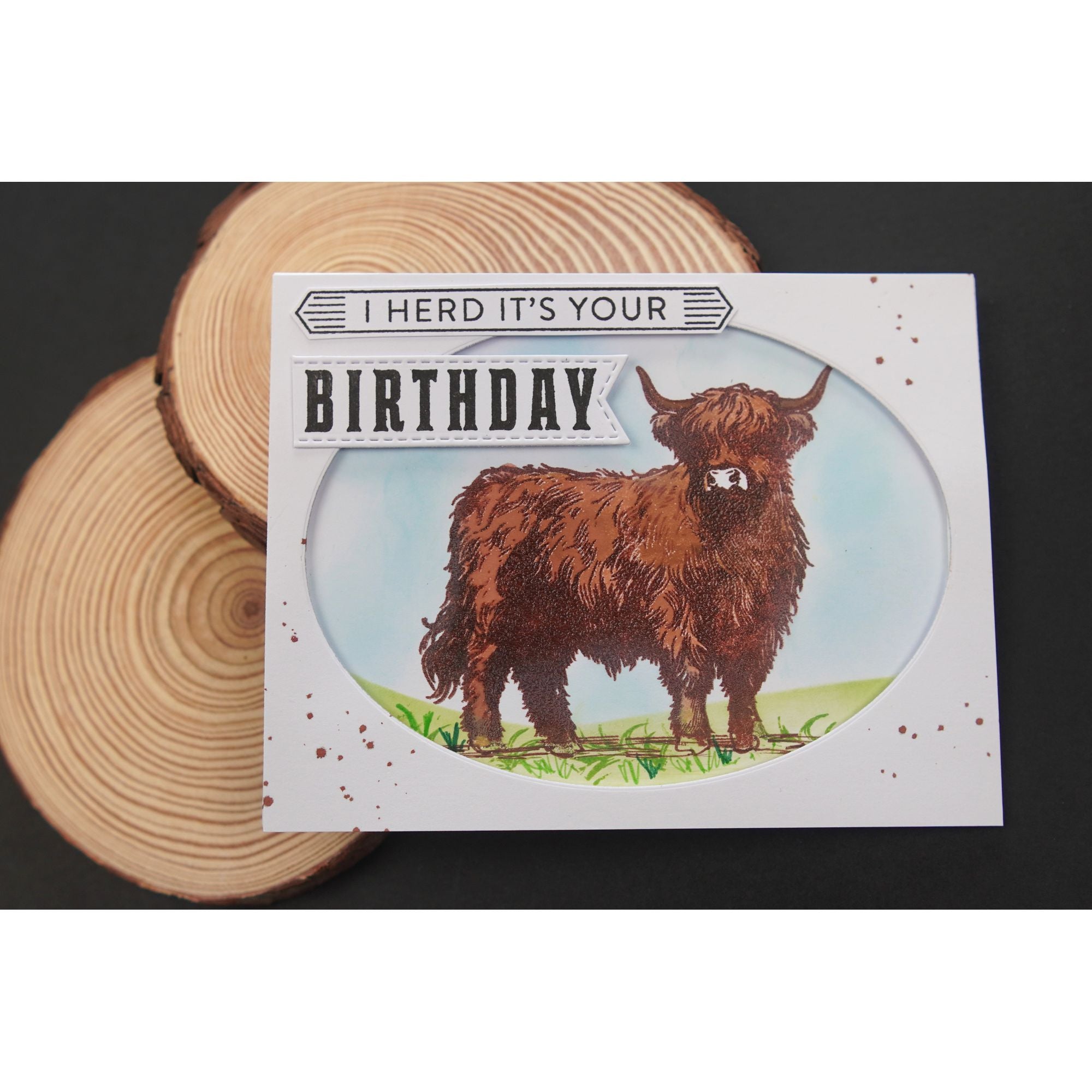 Simon Says Stamps and Dies Highland Cows set1053hc STAMPtember Birthday Card