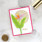 Hero Arts Birds of Paradise Fancy Die Set df218 hello