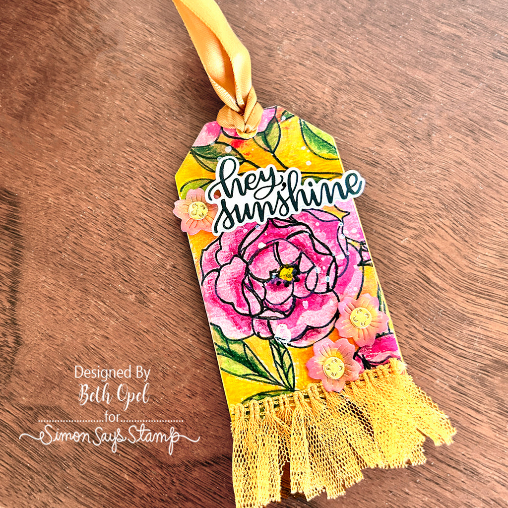 Simon Says Stamp Handlettered Encouragement Wafer Dies 1366sdc Happy Camper Hello Tag | color-code:ALT06