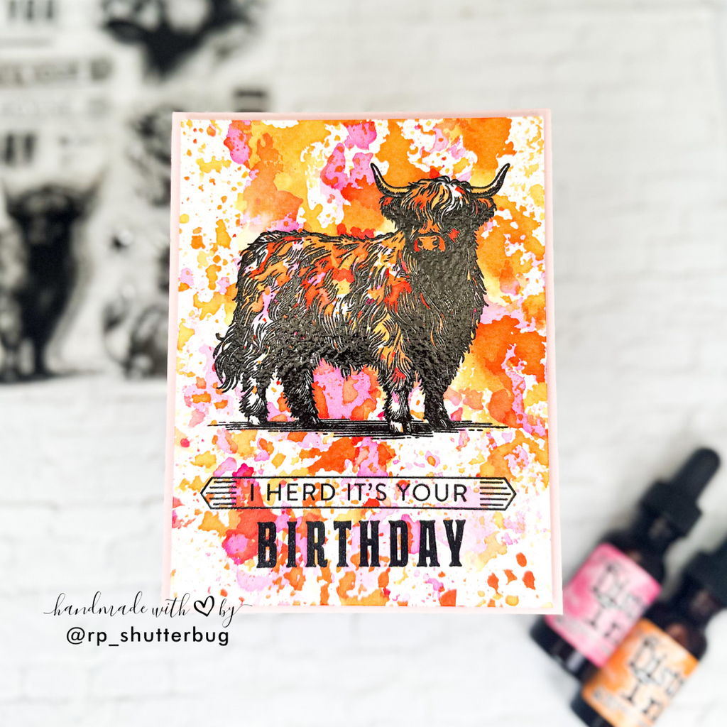 Simon Says Stamps and Dies Highland Cows set1053hc STAMPtember Birthday Card