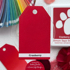 Simon Says Stamp Pawsitively Saturated Holiday Ink Bundle set01hb