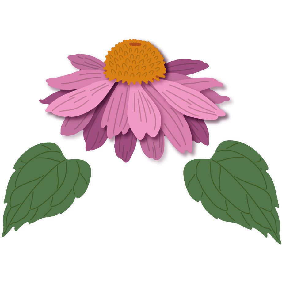 Honey Bee Lovely Layers Coneflower Dies hbds-llcf