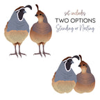 Honey Bee Lovely Layers Quails Dies hbds-llqua