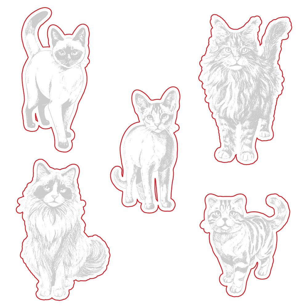 Honey Bee Paws And Purrs Dies hbds-637