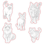 Honey Bee Paws And Purrs Dies hbds-637