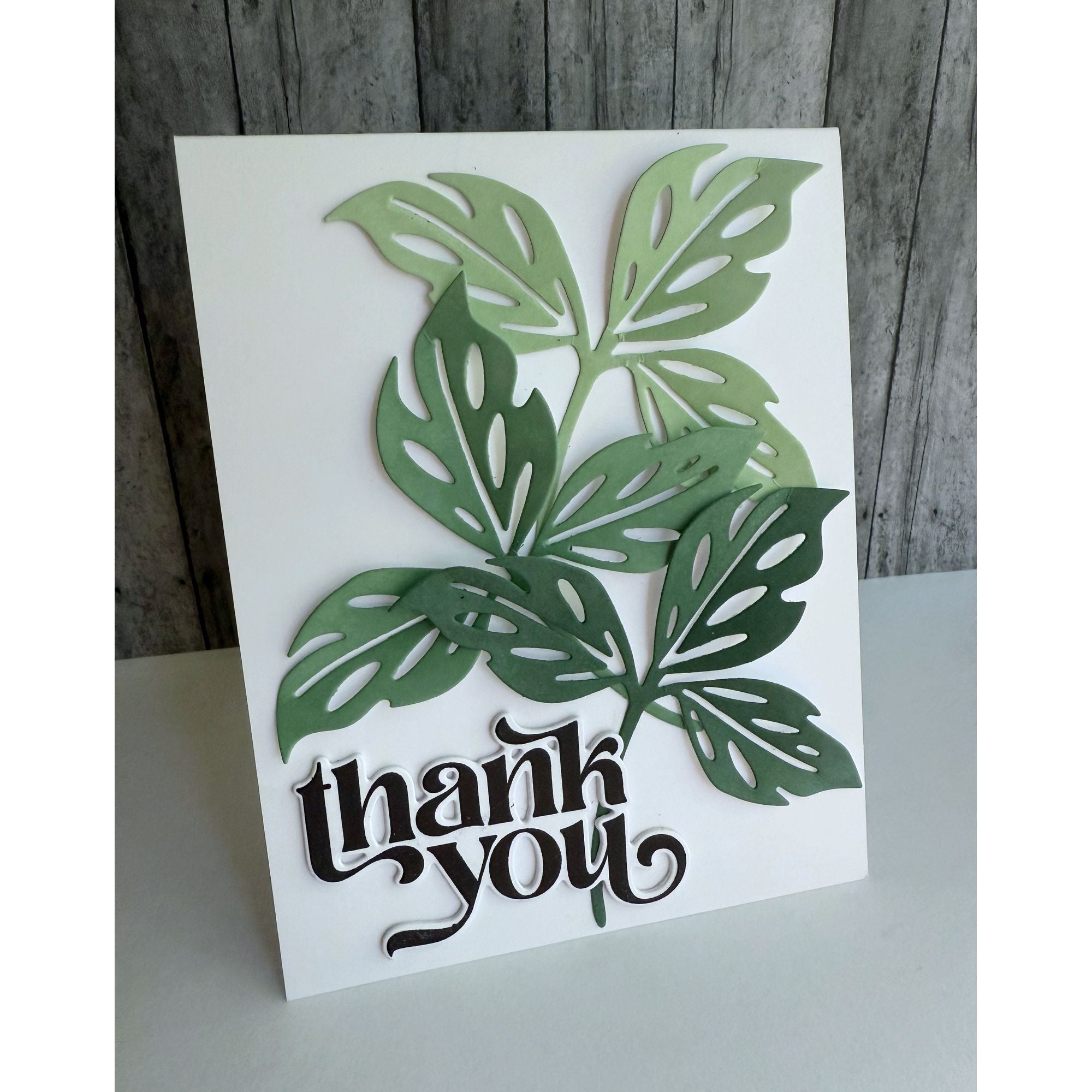 Simon Says Stamp Pawsitively Saturated Re-inker Juniper ssr100 Friend Like You Thank You Card | color-code:ALT02